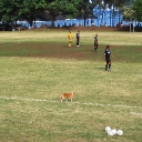 Soccer 10.JPG